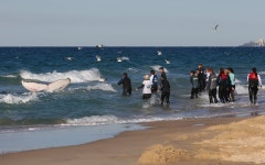 Baby humpback whale rescue on Australias Gold Coast - Telegraph