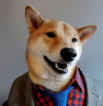 Menswear Dog: Image Gallery (Sorted by Views) | Know Your Meme Menswear Dog: Image Gallery (Sorted by Views)