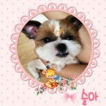 산속에 버려졌던 슬아에게 가족이 필요해요 | 네이트 판