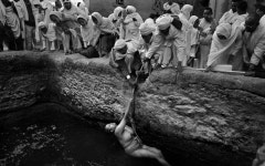 사진~경연~대회~수상~작품~들~~!! | 깔깔유머방 | 커뮤니티 - 팍스넷 증권포털