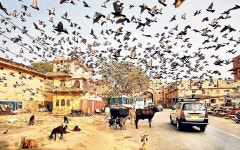 사진~경연~대회~수상~작품~들~~!! | 깔깔유머방 | 커뮤니티 - 팍스넷 증권포털