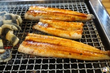 숯불 장어구이와 치맥