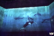 -스압- 서천 가족나들이 | 여행 행사 풍경 사진 갤러리 | 루리웹 모바일