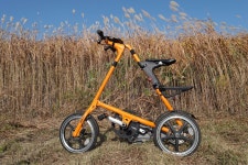 조용한 은행나무 숲 | 자전거 갤러리 | 		루리웹 조용한 은행나무 숲 | 자전거 갤러리 | 루리웹