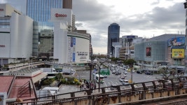 고베 스테이크랜드 (고베규 스테이크 세트) | 음식 갤러리 | 루리웹 모바일