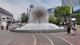 산요산인 패스 여행 (2015.5.17) 오카야마 고라쿠엔 (6일차-2) | 여행 행사 풍경 사진 갤러리 | 루리웹 모바일