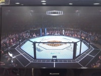 최고의 MMA 격투게임 UFC2009 | EA 스포츠 UFC 2 | 루리웹 모바일