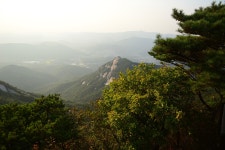 오봉 | 국내여행 이야기 게시판 | 루리웹 모바일