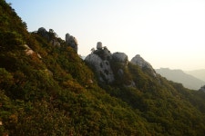 오봉 | 국내여행 이야기 게시판 | 루리웹 모바일