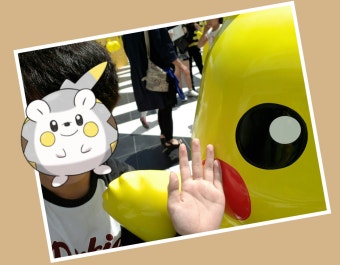 VGC 영웅의탄생 시니어 우승파티 | 포켓몬스터 썬/문 | 루리웹 VGC 영웅의탄생 시니어 우승파티 | 포켓몬스터 썬/문 | 루리웹