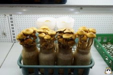 전주의 흔한 샤브샤브 전문점 - 음식-기타