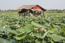  <<CITY & COUNTRY; MALAYSIA & BEYOND>> - Page 17 - SkyscraperCity