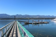 BalbinaStudio | Redbubble BalbinaStudio