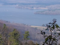 Logging and land clearing info needed (Crossville, Crab Orchard: sale, homes, live in) - Tennessee (TN) - Page 3 - City-Data Forum