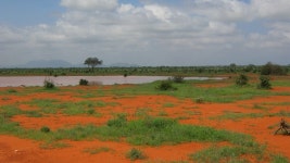  [Kenia] Parki Narodowe i wybrzeże oceanu - Page 2 - SkyscraperCity