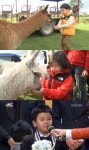 아어가 2기 애기들.jpg - 아빠! 어디가? 갤러리