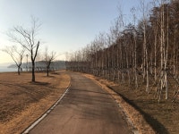 [ 백수의 나들이 ] 덕소 한강공원 삼패지구 | 여행 행사 풍경 사진 갤러리 | 루리웹 모바일