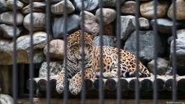 2016년을 추억하며. 사진 결산 (초스압) | 여행 행사 풍경 사진 갤러리 | 루리웹 모바일