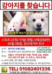 (대구) 강아지 찾습니다. | 반려동물 갤러리 | 루리웹 모바일
