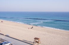 5200 강릉 카페거리의 빵 | 음식 갤러리 | 루리웹 모바일