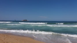 얼마전 바다에 갔는데 | 유머 게시판 | 루리웹 모바일