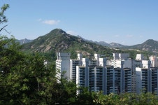 서대문구 안산(鞍山) 등산 (스압) | 국내여행 이야기 게시판 | 루리웹 모바일