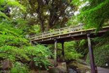 6월 짧은 일정의 나고야 (41pic) | 여행 행사 풍경 사진 갤러리 | 루리웹