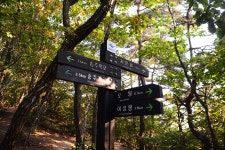 오봉 | 국내여행 이야기 게시판 | 루리웹 모바일