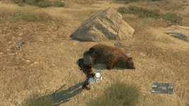 동료들에게 기념품을 보내는 빅보스 | 유머 게시판 | 루리웹 모바일