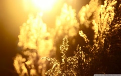 중국인은 들어갈 수 없는 중화요리 전문점. | 유머 게시판 | 		루리웹 중국인은 들어갈 수 없는 중화요리 전문점. | 유머 게시판 | 루리웹