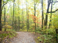 Kentucky Country Roads in the Fall (Russell: home, live, pine) - (KY) -  City-Data Forum