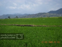  BONAO | Monseñor Nouel | Imágenes y discusiones urbanas - Page 3 - SkyscraperCity