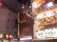 ★Xos의 혼자서 4박5일 오사카여행기 - 4.텐노지동물원, 급만남 - 여행-일본 갤러리