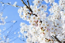 2016년을 추억하며. 사진 결산 (초스압) | 여행 행사 풍경 사진 갤러리 | 루리웹 모바일