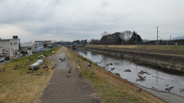 성지순례를 할거면 여기도 가보셔야죠 | 해외여행 / 유학 이야기 게시판 | 루리웹 모바일