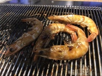 (스압) 양꼬치랑 첫*-_-*경험 양갈비. | 음식 갤러리 | 루리웹 모바일
