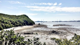 구봉도 | 여행 행사 풍경 사진 갤러리 | 루리웹 모바일