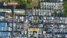 쓰레기 봉투에 버려진 아기 고양이들.jpg | 유머 게시판 | 		루리웹 쓰레기 봉투에 버려진 아기 고양이들.jpg | 유머 게시판 | 루리웹