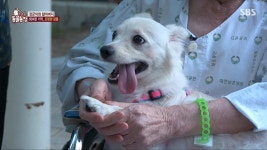 이래도 고양이입니까?.jpg | 유머 게시판 | 루리웹