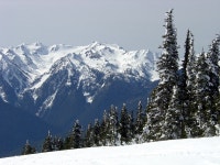 OC CA vs Dallas TX - Australian family moving from Tokyo (Riverside: rentals, school) - Orange County - California - Page 4... 