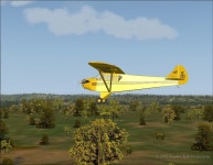  The J-2 Taylor Cub