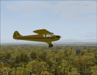  The J-2 Taylor Cub