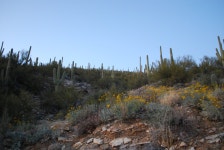 Desert Photography (d30, reflection, attachment, JPG) - Digital cameras, SLR, lenses, printing, processing, colors, black-and... 