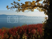 Some recent AK photos (Homer, Hope: quaint, dollars, living in) - Alaska - Page 1020 - City-Data Forum
