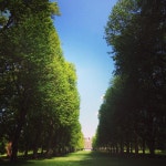 외방커뮤니티 > 사진방 > ordinary life (브금 유)