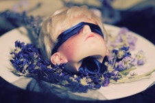 외방커뮤니티 > 사진방 > Bon Appétit, Cerf. (bgm / 인형 주의)