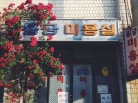 외방커뮤니티 > 사진방 > 장미꽃과 함께하는 요즘