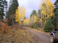 Its Fall, show us your colors!! | Page 3 | Expedition Portal Its Fall, show us your colors!!