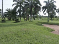  UYO sights and features - Page 4 - SkyscraperCity