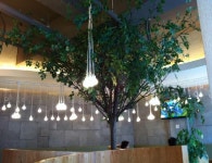 고수닭갈비효자점 : 고수닭갈비효자점 직원구함 - 알바천국 [알바천국] 전북 전주시 완산구 / 고수닭갈비효자점 / 고수닭갈비효자점... 